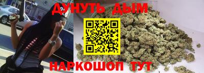 сатива Будённовск
